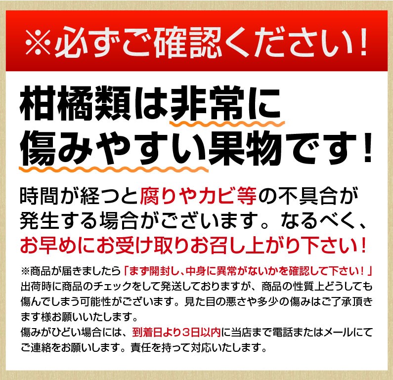 みかん 伊木力 長崎 早生 温州ミカン 秀品 小玉 S・2S 2.5kg