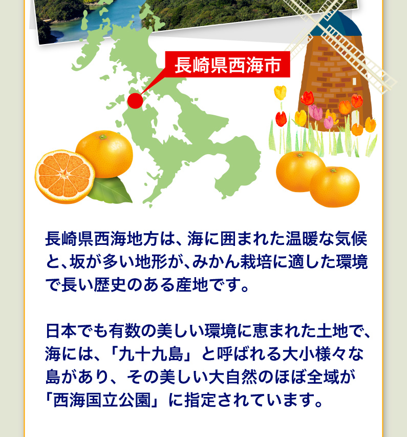 長崎県西海地方はみかん栽培に適した環境で長い歴史のある産地です。