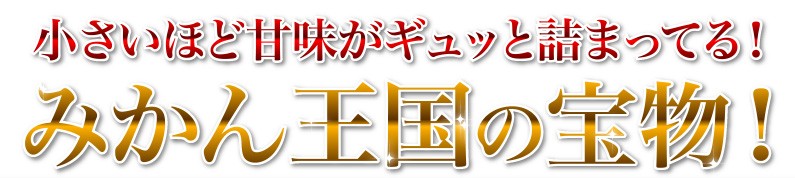 小さいほど甘みがギュッと詰まってる！