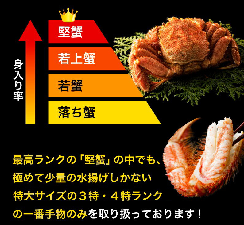 大人気アイテム 北海道産プレミアム毛蟹 毛ガニ 特大約800g（3特・4特）2杯 送料 魚介類(加工食品)