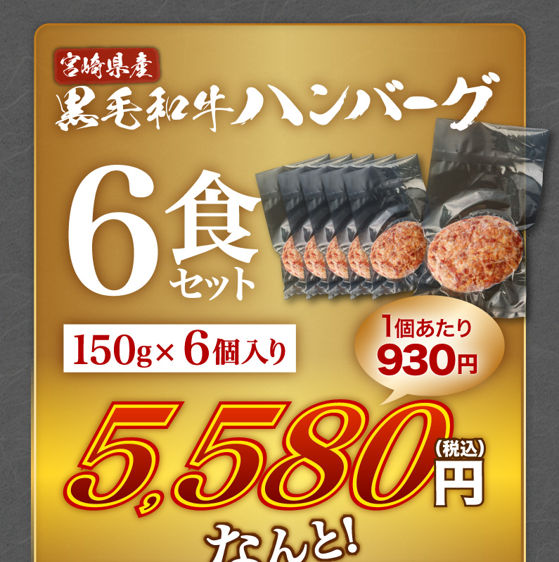 宮崎県産黒毛和牛ハンバーグ 6食セット