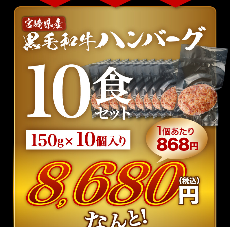 宮崎県産黒毛和牛ハンバーグ 10食セット
