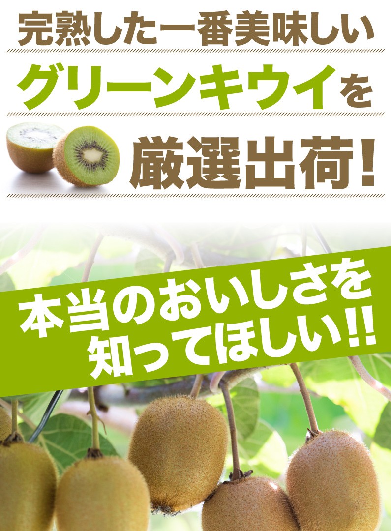 キウイ キウイフルーツ 福岡県産 完熟秀品 約3.6kg 中玉 Mサイズ33玉入 1果実85g以上 産地直送 ご贈答 送料無料 Y常  :kiwi-m:くいしんぼうドットコム - 通販 - Yahoo!ショッピング