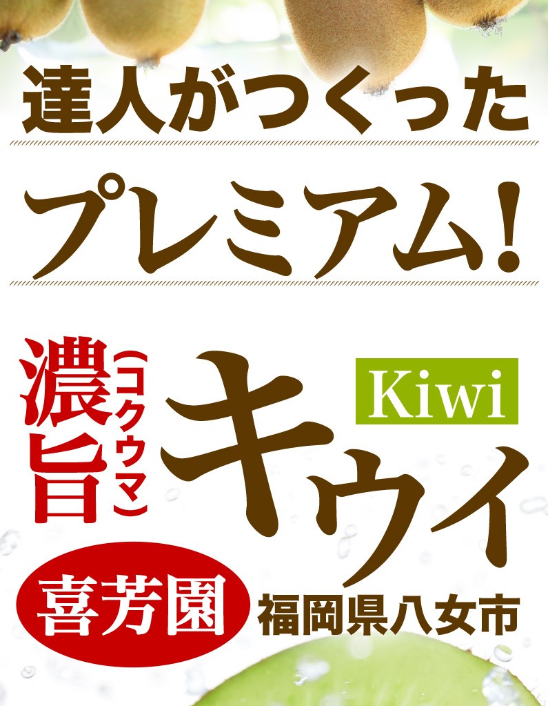 キウイ キウイフルーツ 福岡県産 完熟秀品 約3.6kg 中玉 Mサイズ33玉入 1果実85g以上 産地直送 ご贈答 送料無料 Y常  :kiwi-m:くいしんぼうドットコム - 通販 - Yahoo!ショッピング