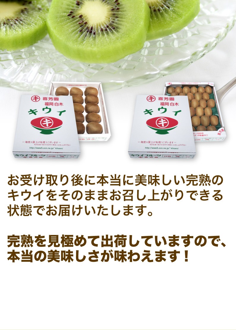 キウイ キウイフルーツ 福岡県産 完熟秀品 約3.6kg 中玉 Mサイズ33玉入 1果実85g以上 産地直送 ご贈答 送料無料 Y常  :kiwi-m:くいしんぼうドットコム - 通販 - Yahoo!ショッピング