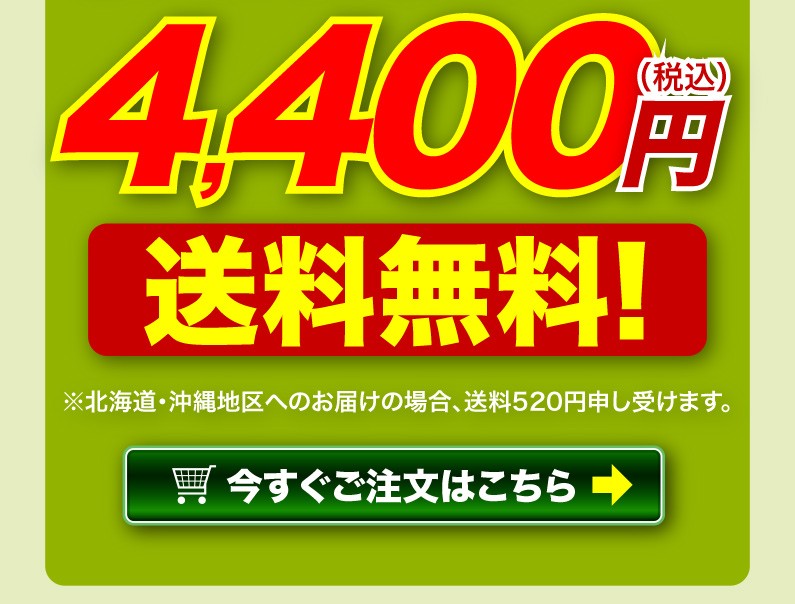 送料無料！今すぐご注文はこちら