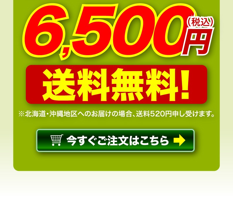 送料無料！今すぐご注文はこちら