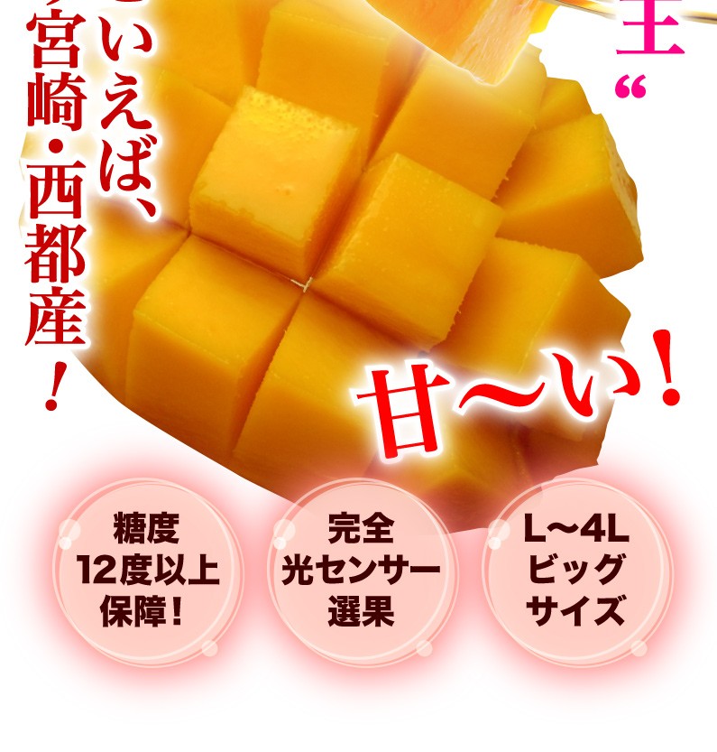 ポイント5倍 お中元 ギフト 果物 フルーツ マンゴー 宮崎 完熟マンゴー特大2L玉(350ｇ以上) JA西都協賛 光センサー選果 プレゼント Y蔵  :mng201f:くいしんぼうドットコム - 通販 - Yahoo!ショッピング