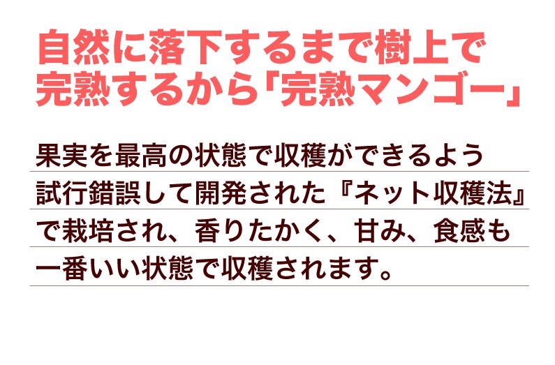 自然に落下するまで樹上で完熟