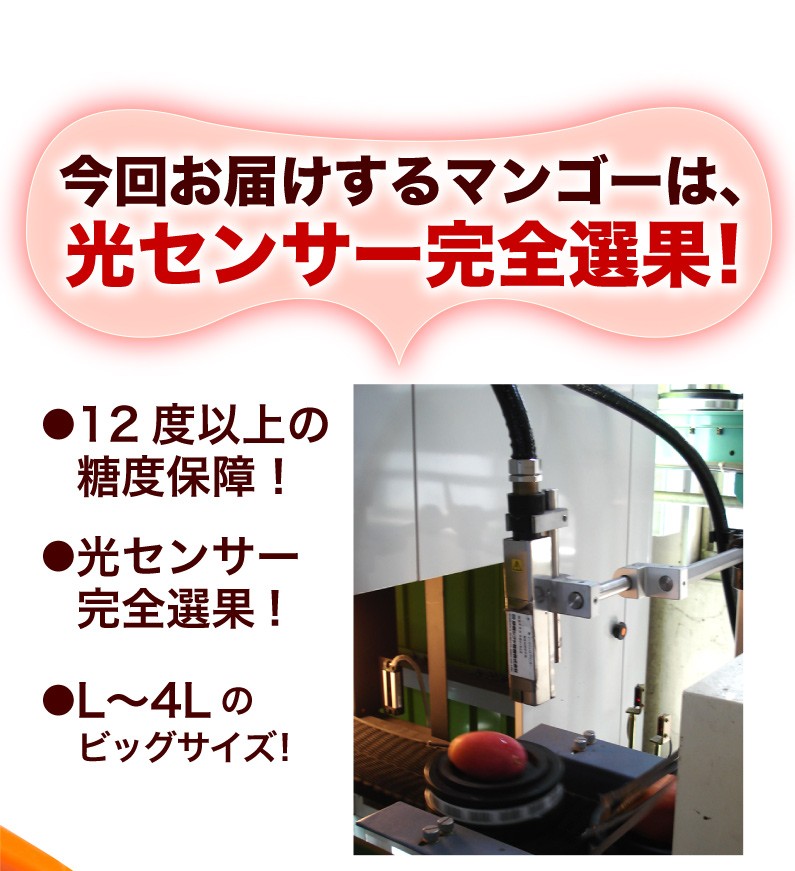 今回お届けするマンゴーは、光センサー完全選果！