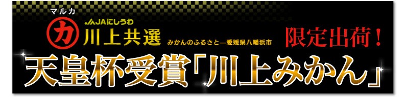 JAにしうわ　川上共選　限定出荷！天皇杯受賞「川上みかん」