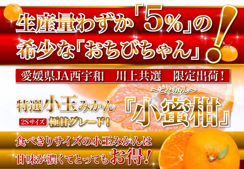 生産量わずか5％の希少な「おちびちゃん」！JAにしうわ　川上「小蜜柑（こみかん）」