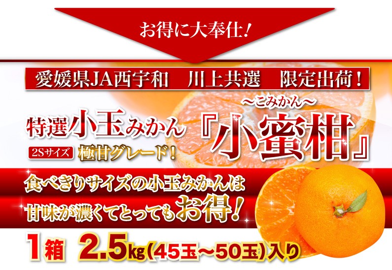 川上みかん2Sサイズ、「小蜜柑（こみかん）」お得に大奉仕！