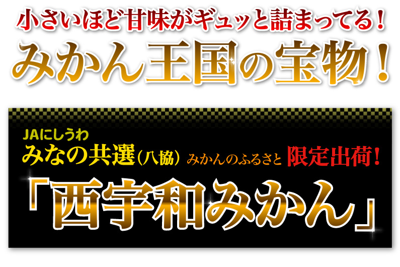 八協共選　限定出荷　西宇和みかん