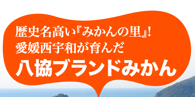 愛媛西宇和が育んだ八協ブランドみかん