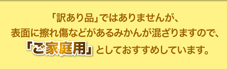 訳あり品ではありませんが、ご家庭用としておすすめ