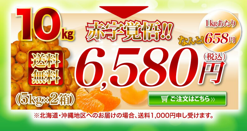 10kg）送料無料　ご注文はこちら