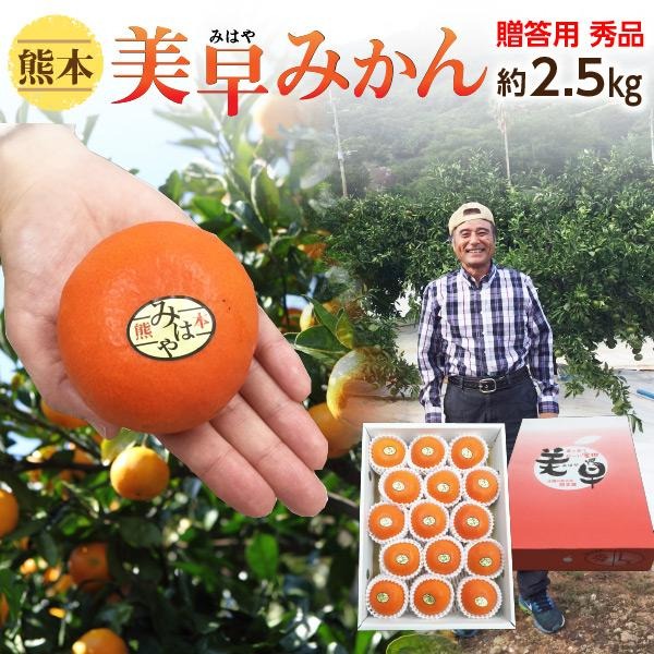 お歳暮 ギフト ポイント10倍 美早みかん ミカン 熊本 贈答用 秀品 2 5kg Lサイズ 15玉前後 送料無料 産直 S常 Kmmg01 くいしんぼうドットコム 通販 Yahoo ショッピング