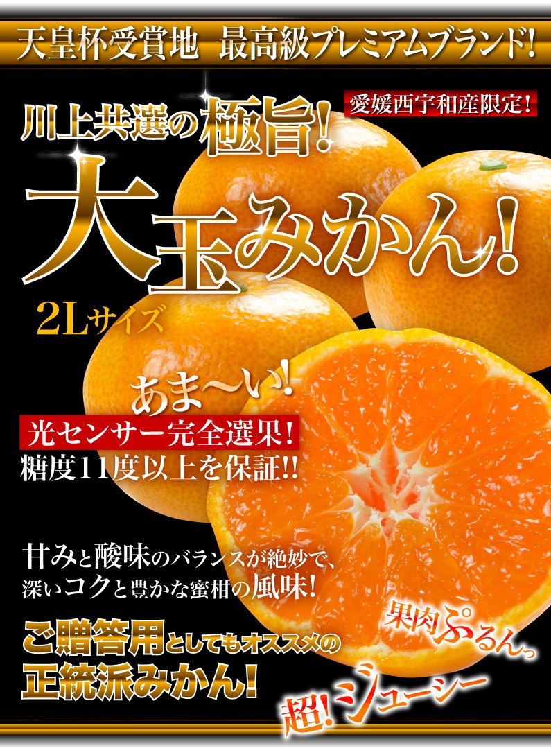 ポイント5倍 お歳暮 ギフト みかん 愛媛 温州 極甘グレード厳選 JAにしうわ 川上共選 天皇杯受賞 愛媛県産 川上みかん 大玉 2Lサイズ×6kg  グルメ J常 :omikan02:くいしんぼうドットコム - 通販 - Yahoo!ショッピング