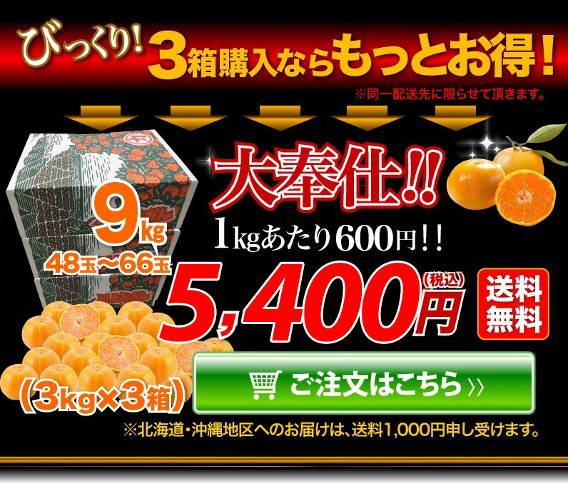 川上共選の極旨！大玉みかん！9kg 48玉?66玉 送料無料