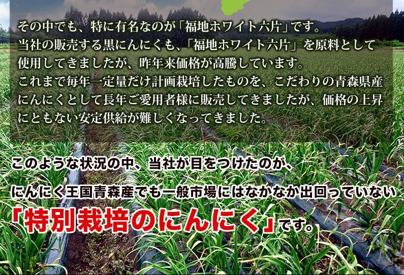 その中でも、特に有名なのが〜〜「特別栽培のにんにく」です。