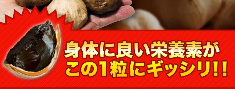 身体に良い栄養素がこの1粒にギッシリ！！