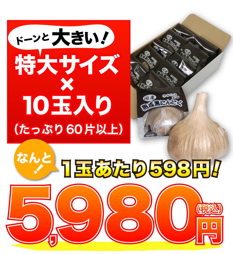ドーンと大きい！特大サイズ x 10玉入り