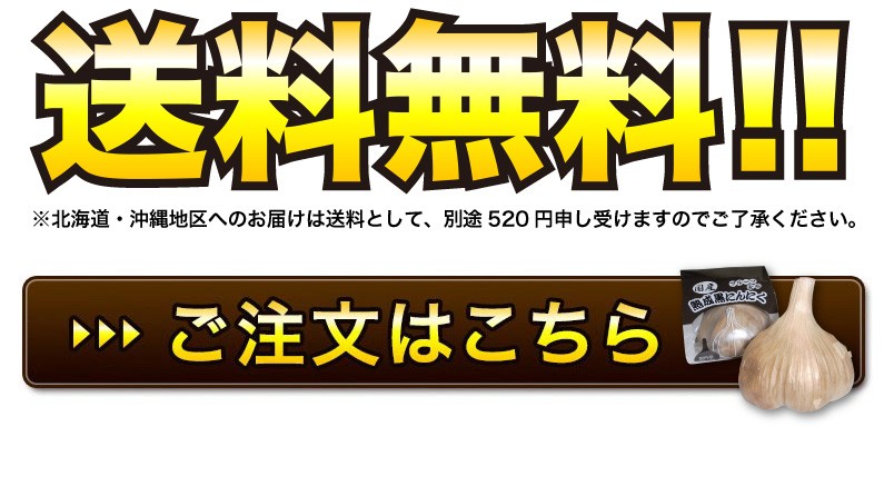 送料無料！！ご注文はこちら