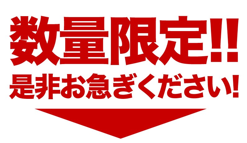 数量限定！！是非お急ぎください！