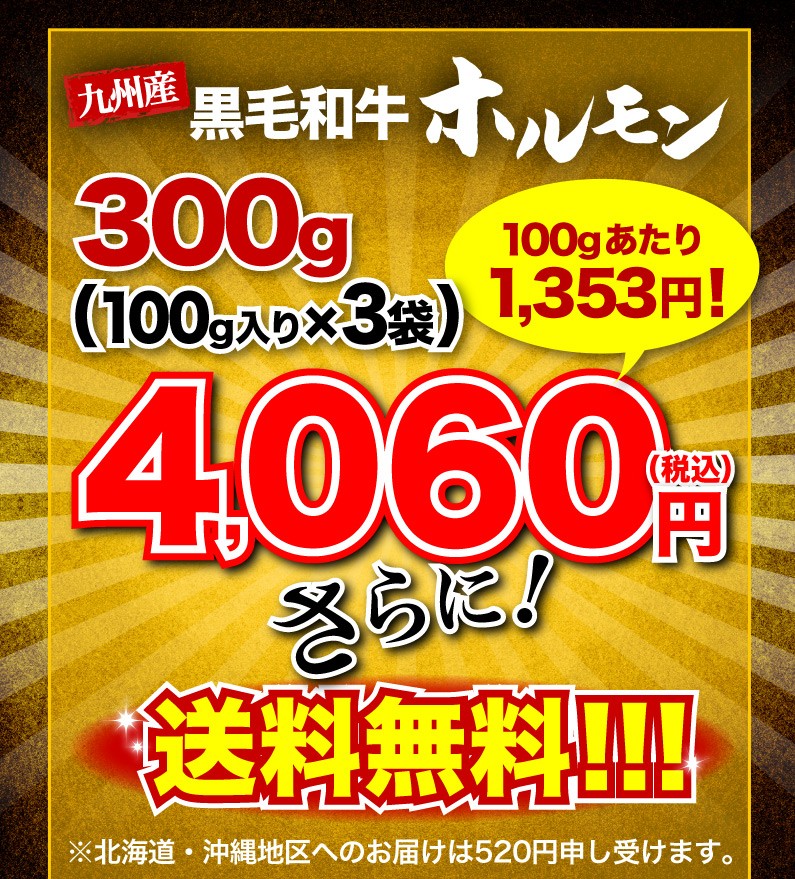 九州産黒毛和牛ホルモン 300g(100g x3袋) 送料無料