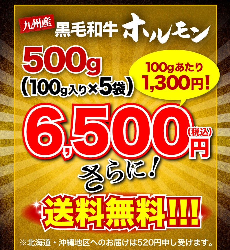 九州産黒毛和牛ホルモン 500g(100g x5袋) 送料無料