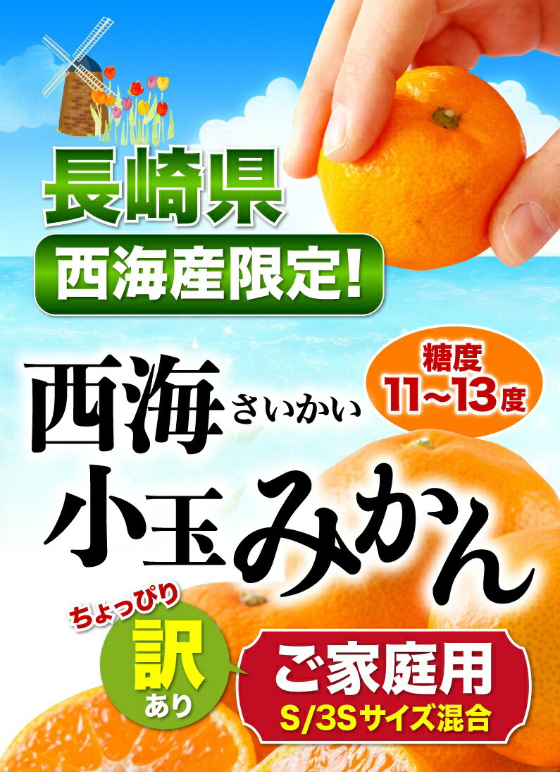 長崎県に西海産限定！糖度11〜13度 西海小玉みかん 訳ありご家庭用