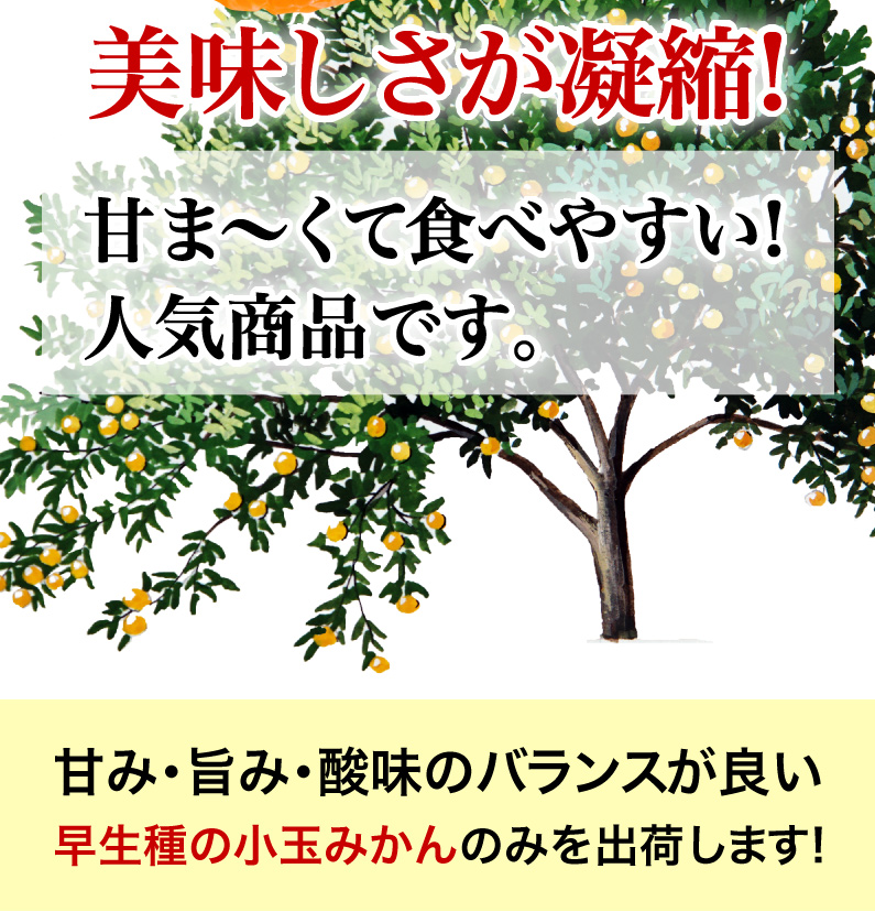 美味しさが凝縮！甘み・旨み・酸味のバランスが良い！