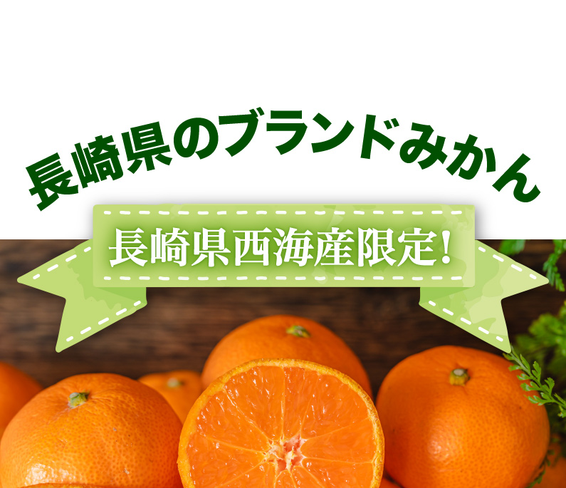 長崎県のブランドみかん 長崎県西海産限定！