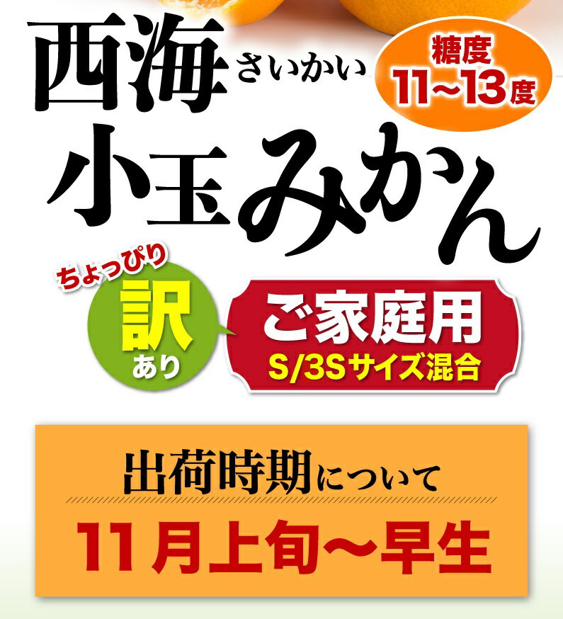 西海小玉みかん糖度11〜13度ちょっぴり訳ありご家庭用