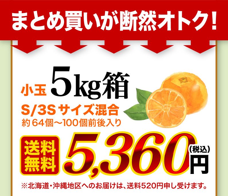 まとめ買いが断然オトク！早生西海小玉みかん5kg箱 s/3Sサイズ混合