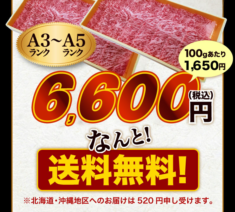 送料無料！