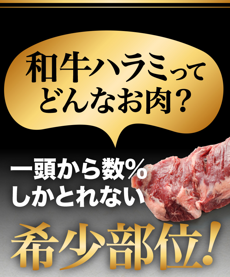 和牛ハラミってどんなお肉？