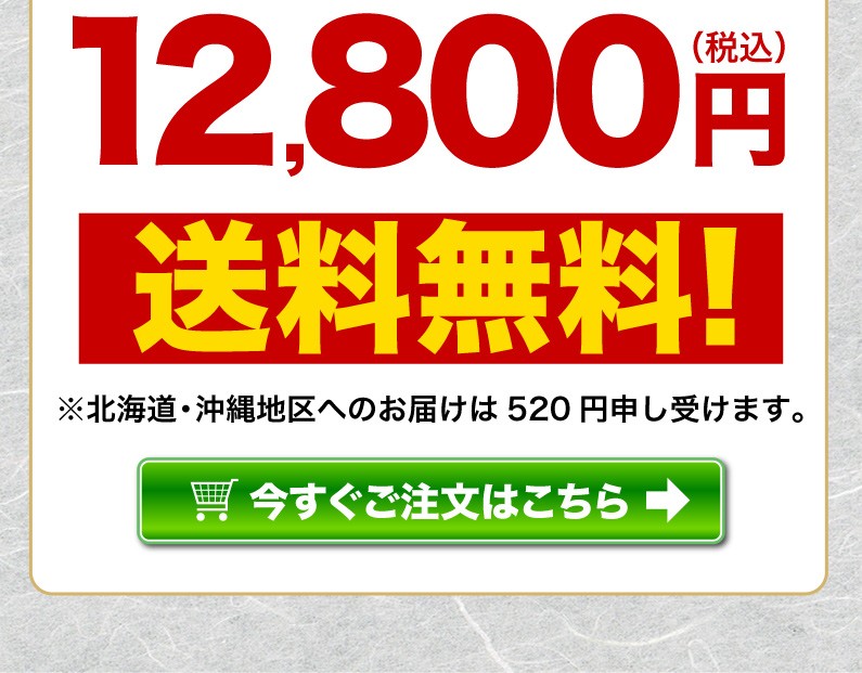 送料無料！ 今すぐご注文はこちら