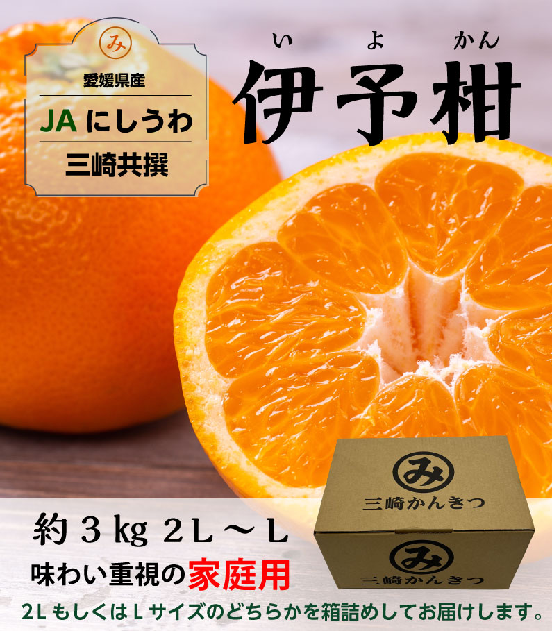 愛媛産 宮内 いよかん お試し 約1.5kg #r - 果物