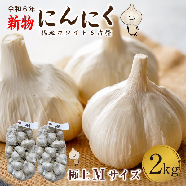 青森 にんにく2kg Mサイズ 約40玉 福地ホワイト6片 国産 ニンニク 新物 