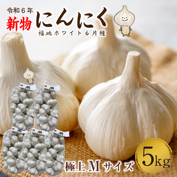 青森 にんにく5kg Mサイズ 約100玉 福地ホワイト6片 国産 ニンニク 新 