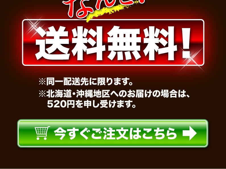 送料無料！今すぐご注文はこちら