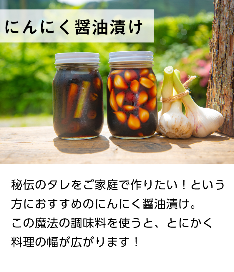 青森 にんにく5kg Mサイズ 約100玉 福地ホワイト6片 国産 ニンニク 新物 送料無料 Y常｜kuishinboucom｜11