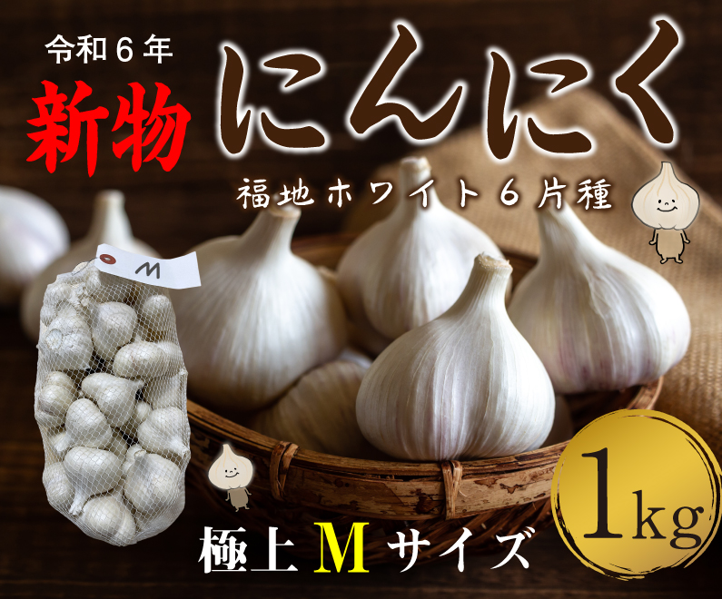 青森 にんにく5kg Mサイズ 約100玉 福地ホワイト6片 国産 ニンニク 新