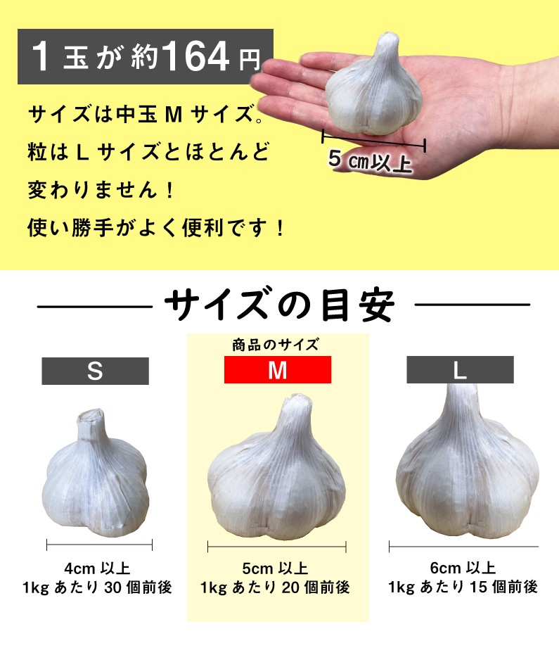 青森 にんにく10kg Mサイズ 約200玉 福地ホワイト6片 国産