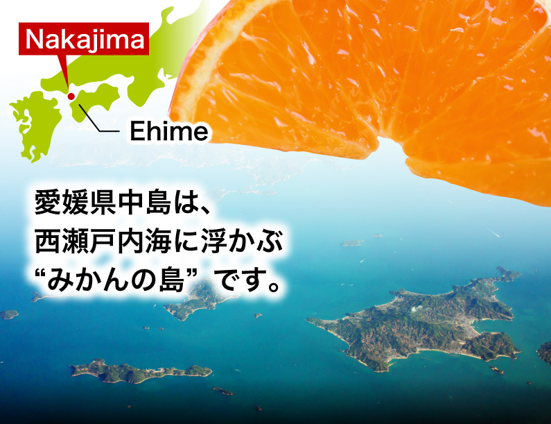 西瀬戸内海に浮かぶ「みかんの島」