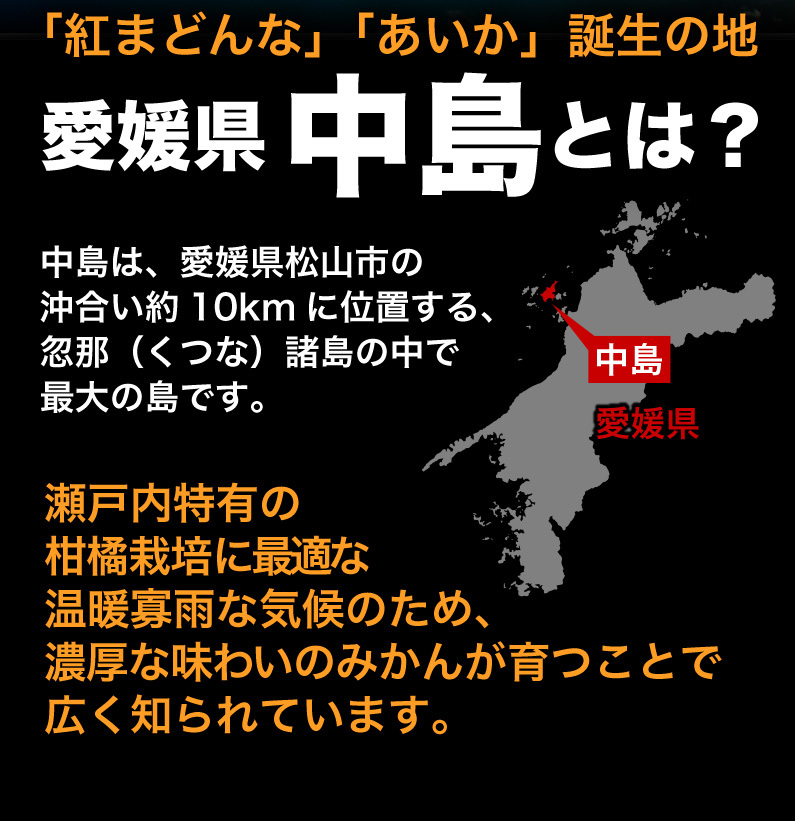 愛媛県中島とは？