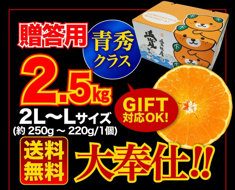 中島あいか　贈答用　2L・Lサイズ　2.5kg　青秀クラス　送料無料