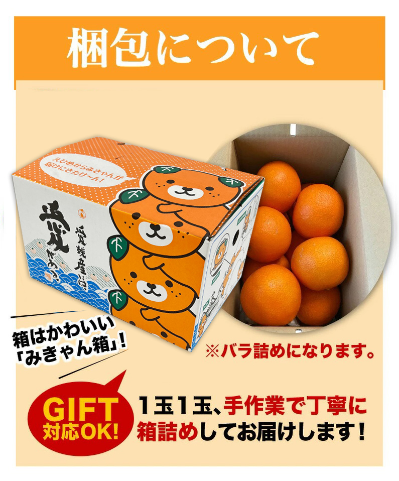 愛媛県産!!愛果28号(特選M玉10キロ) 空島まどんな - 果物